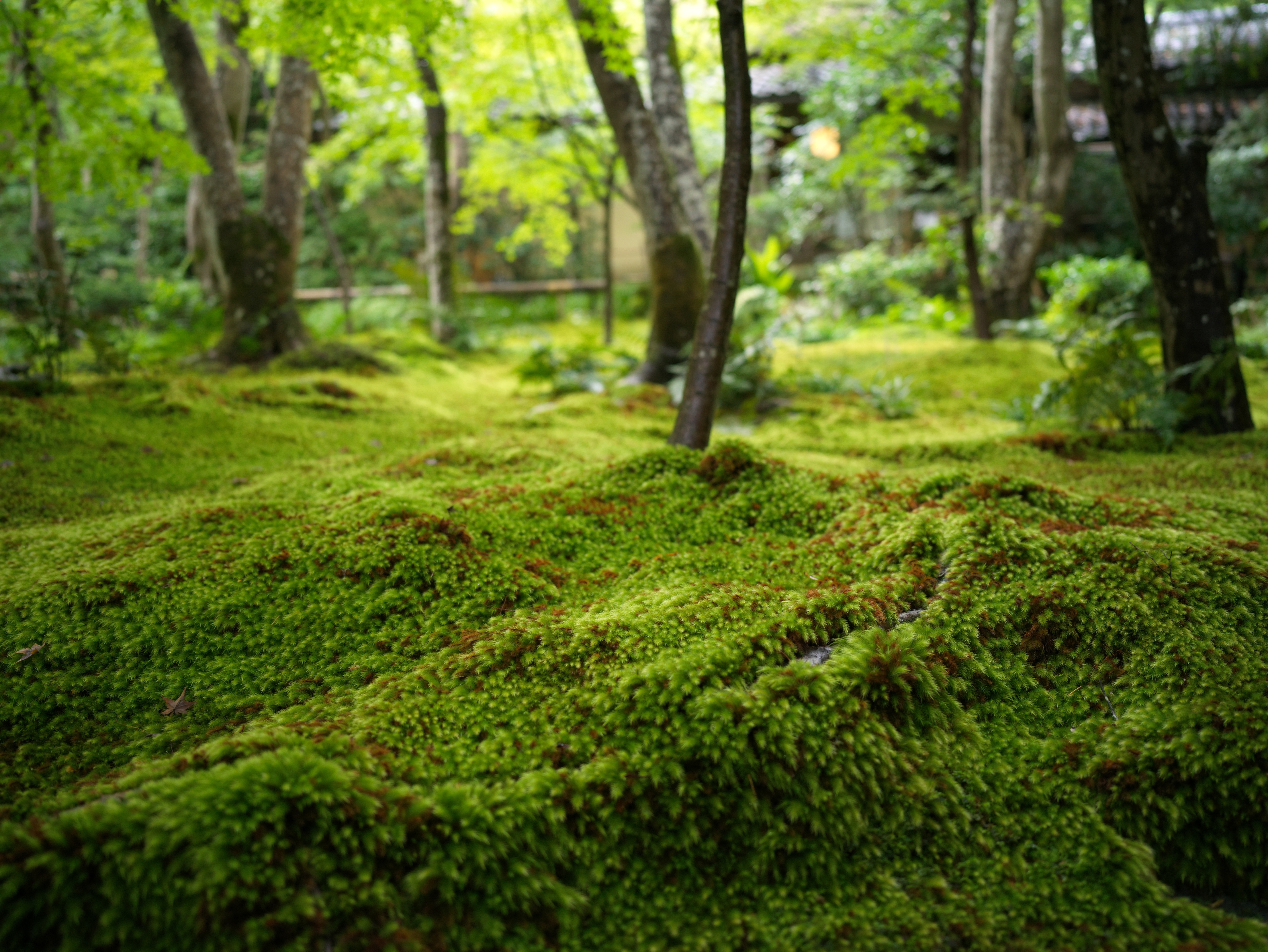 Japan, 22 Sep 2024