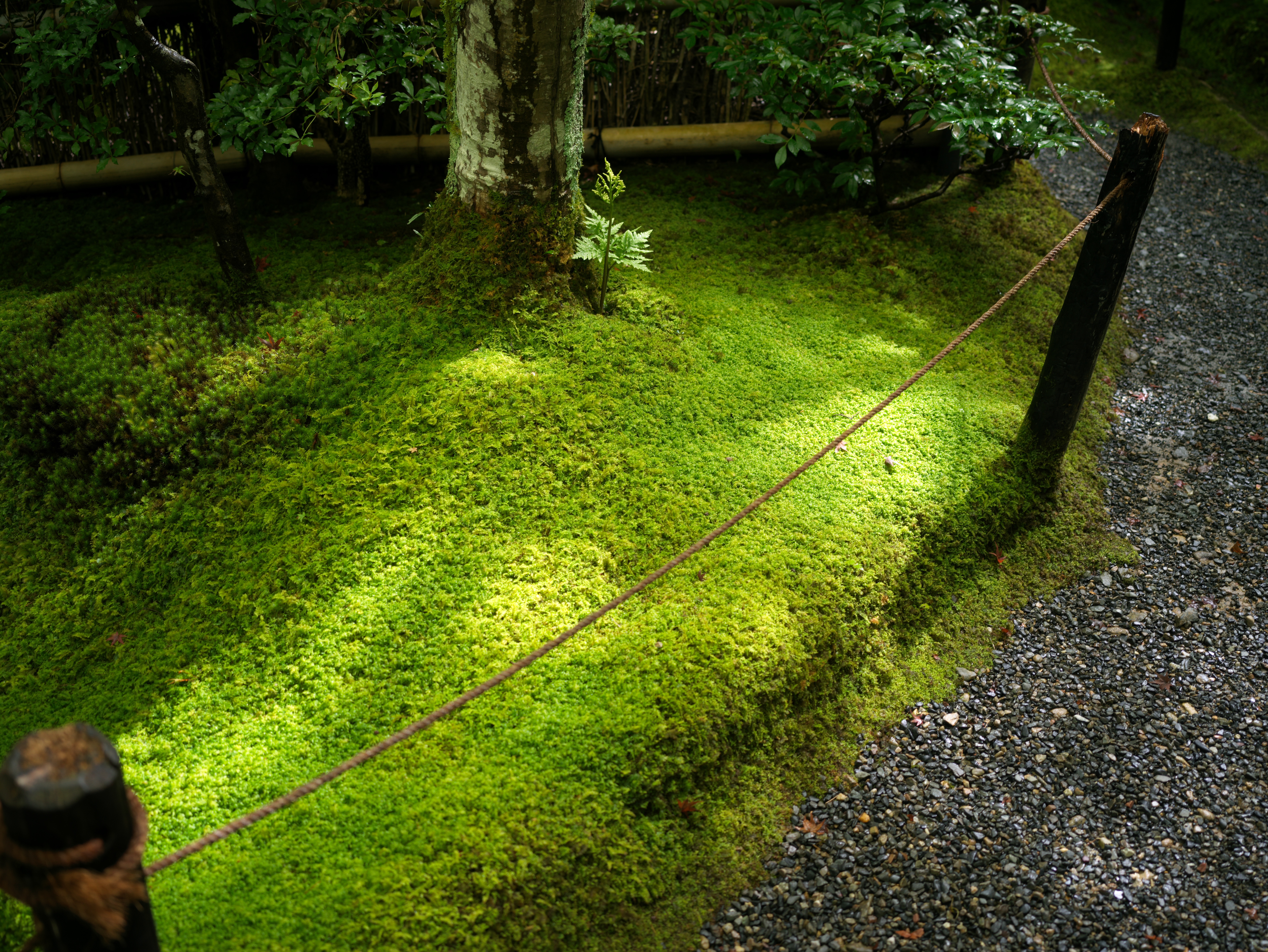 Japan, 22 Sep 2024