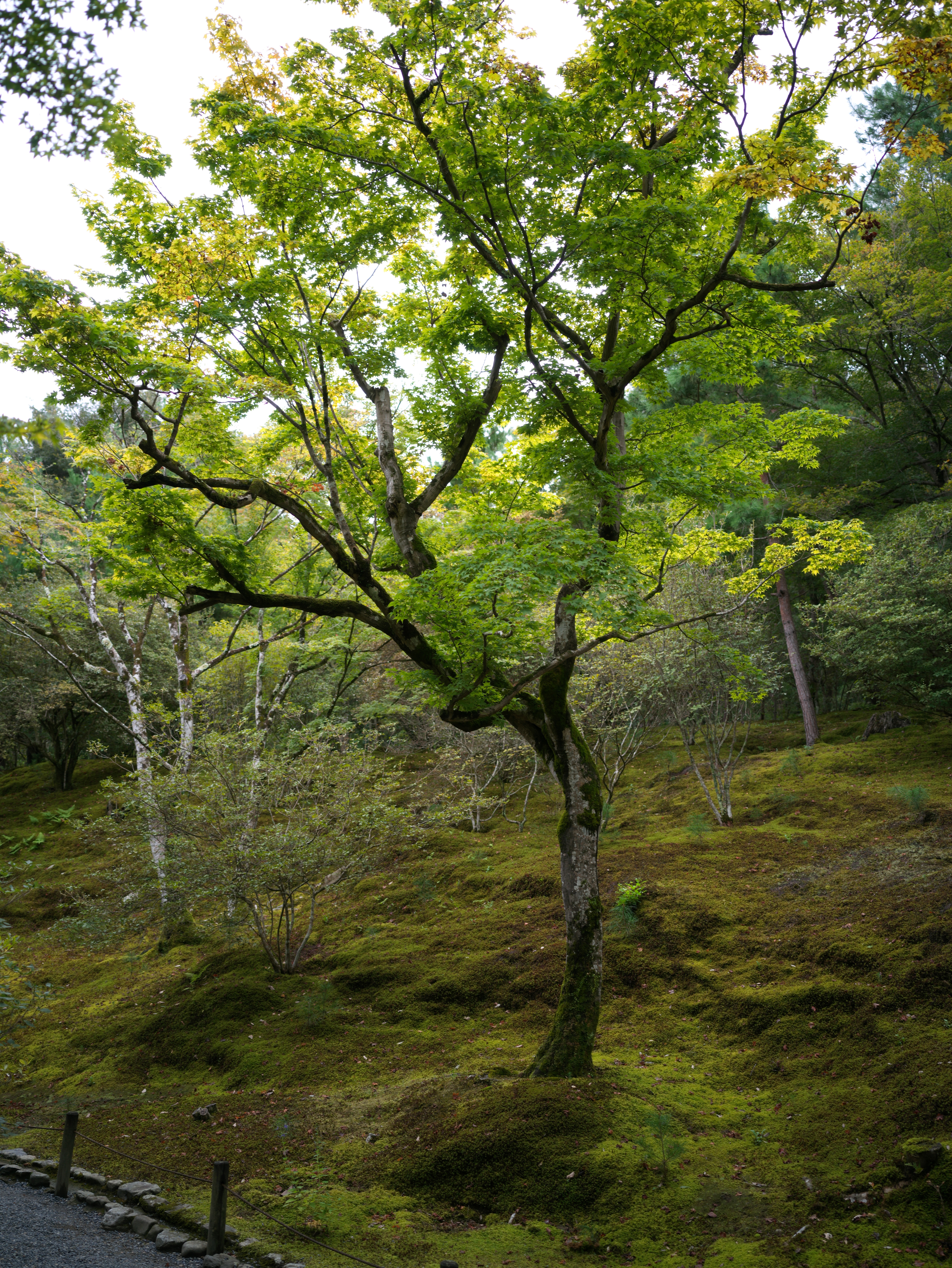 Japan, 22 Sep 2024