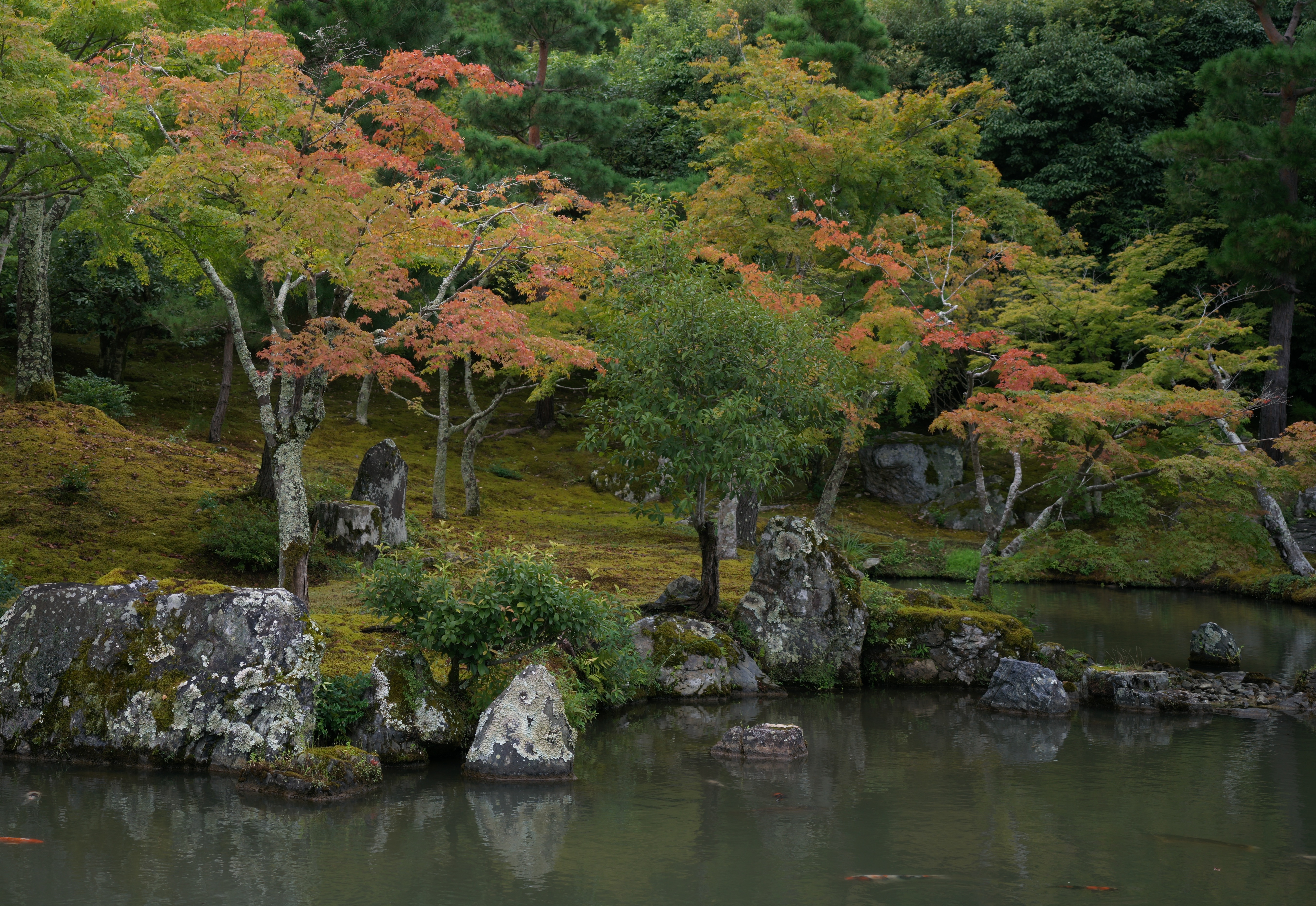 Japan, 22 Sep 2024