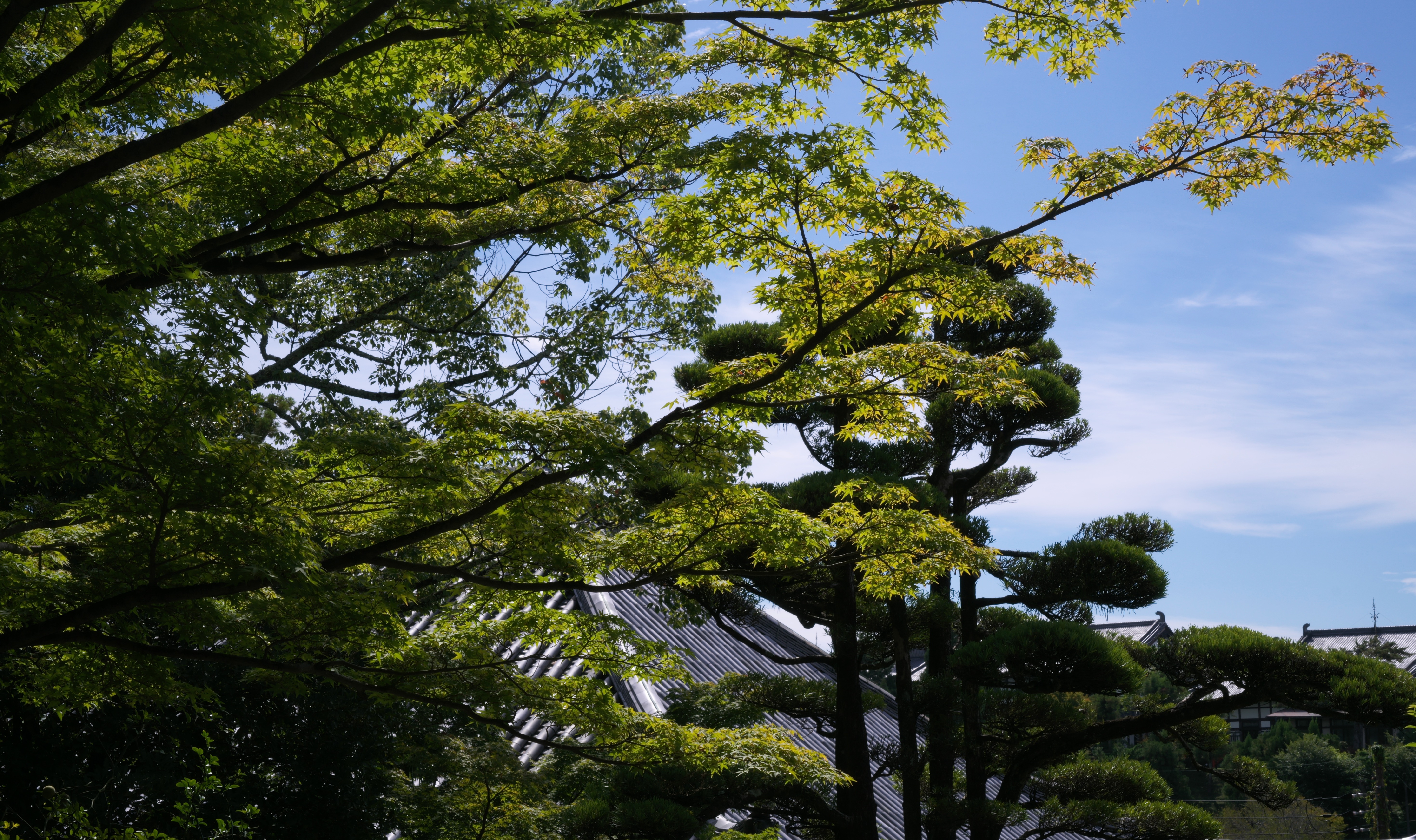 Japan, 25 Sep 2024